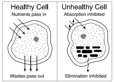 graphic Healthy cell vs unhealthy cell