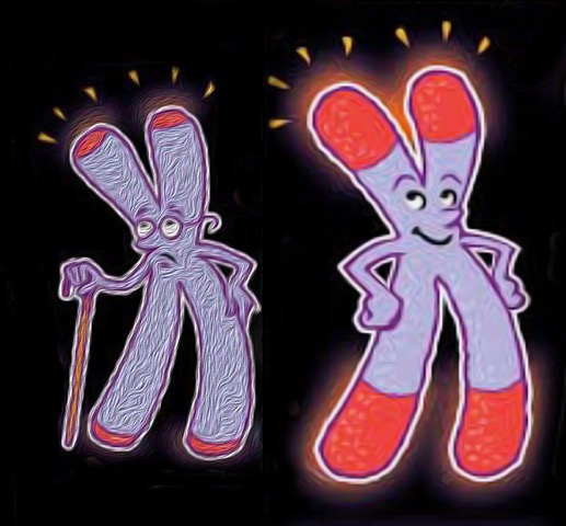 Cartoon Old Chromosome / New Chromosome