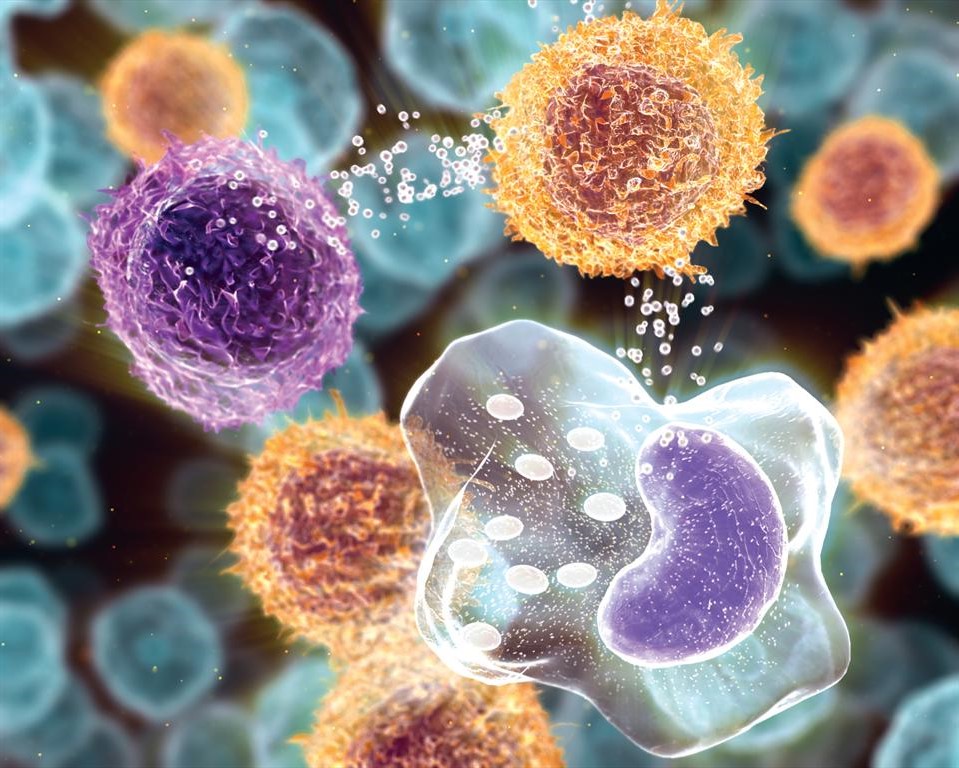 Cytokine graphic representation