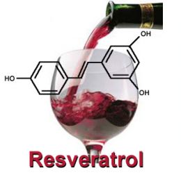 Resveratrol image molecular structure