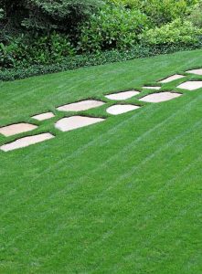 manicured lawn