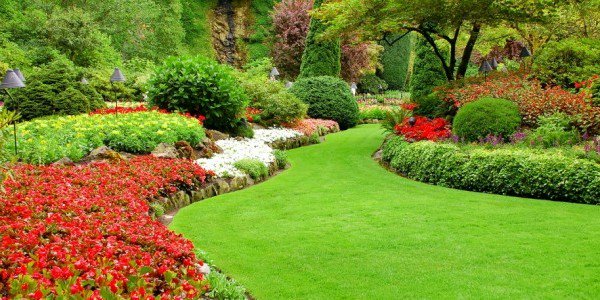 image Landscaping 