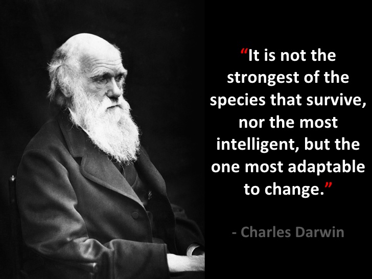 Darwin quote: Adapt to Change