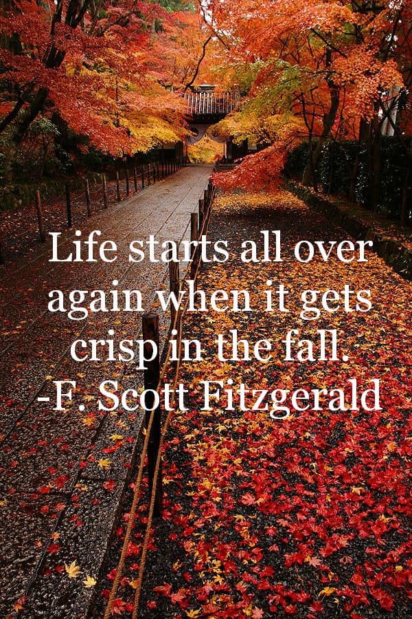 Quote F.Scott Fitzgerald Autumn